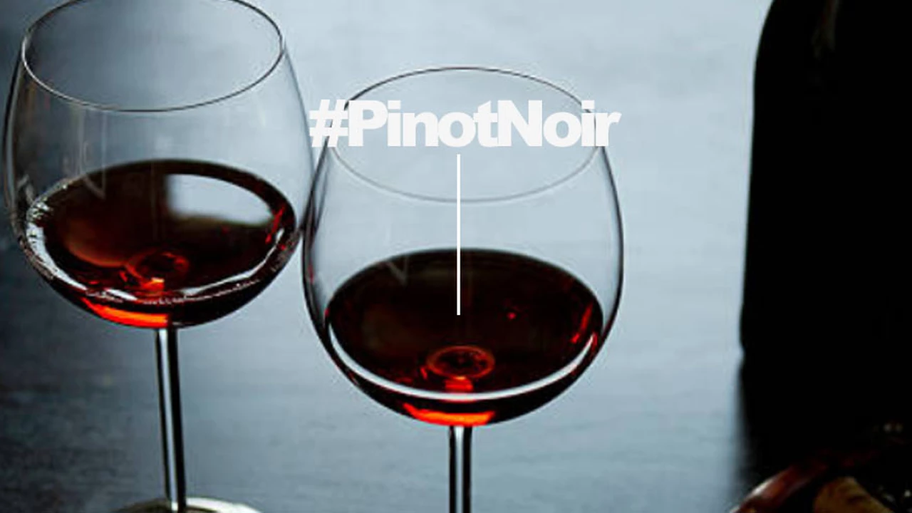 Vinos recomendados: Pinot Noir para salir realmente de lo común