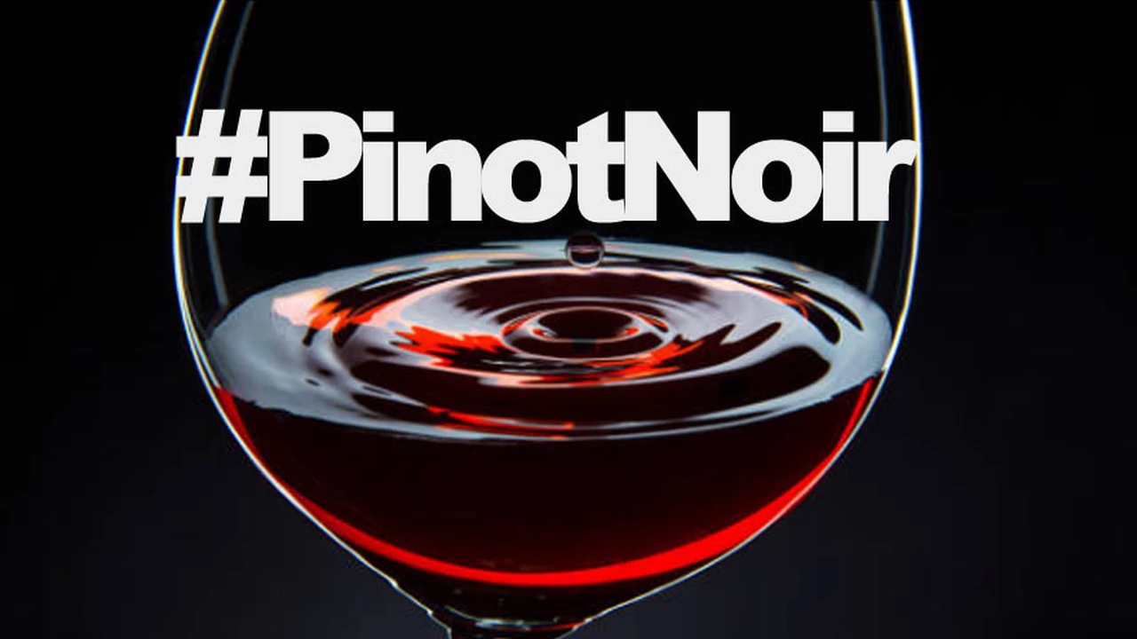 Vinos: 12 Pinot Noir de diferentes regiones del país para celebrar su día mundial
