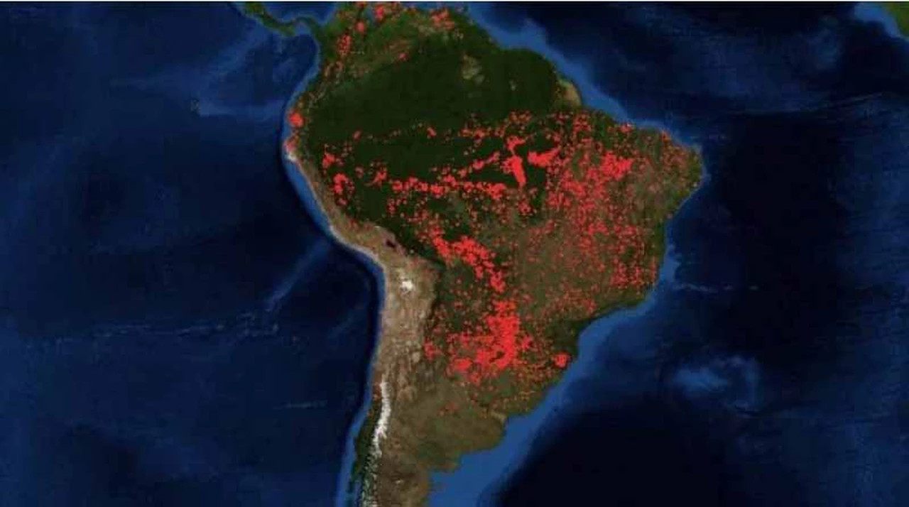 Récord de incendios en el Amazonas: hasta el 20 de agosto se habían registrado casi 85% más de focos de actividad