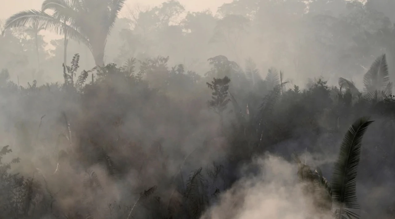 5 claves para entender la crisis de los incendios en el Amazonas