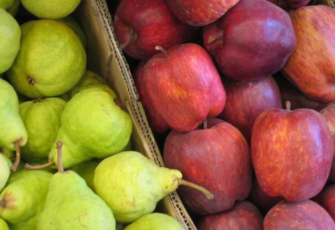 La AFIP da un alivio para productores de peras y manzanas