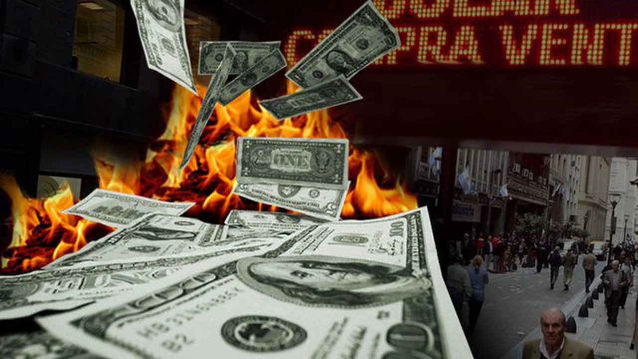 Cuántos dólares sacaron los argentinos en un mes como consecuencia de la corrida bancaria