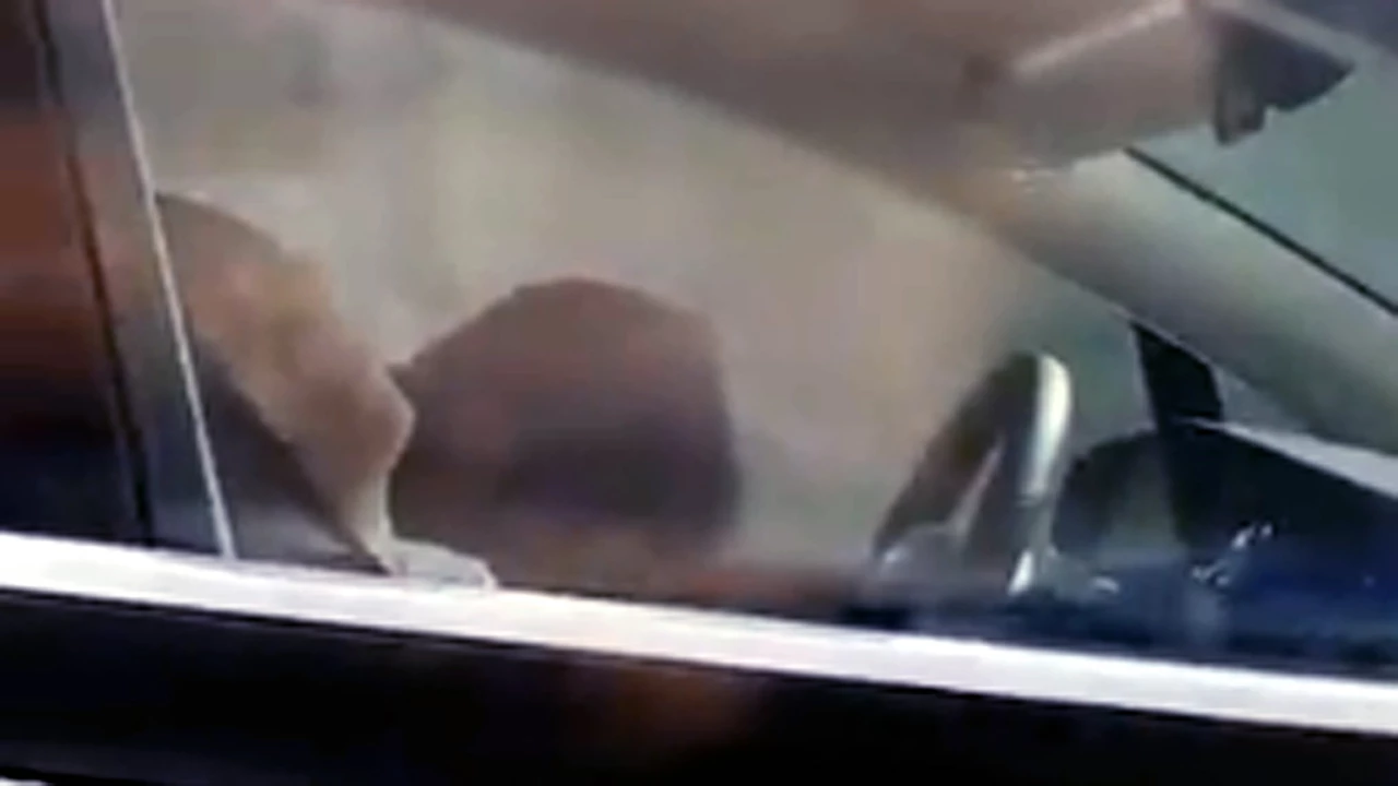 Un video muestra al conductor de un Tesla dormido al volante