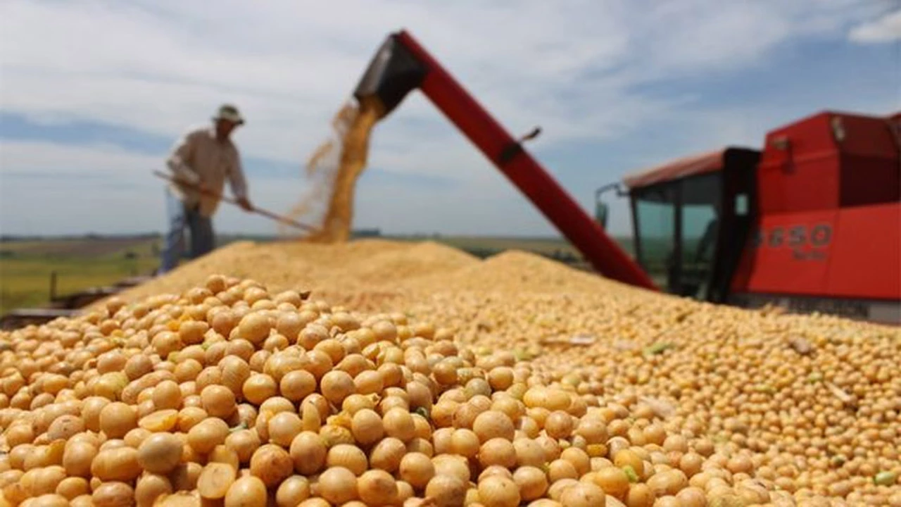 Macri anunció que la Argentina venderá harina de soja a China tras 20 años de negociaciones