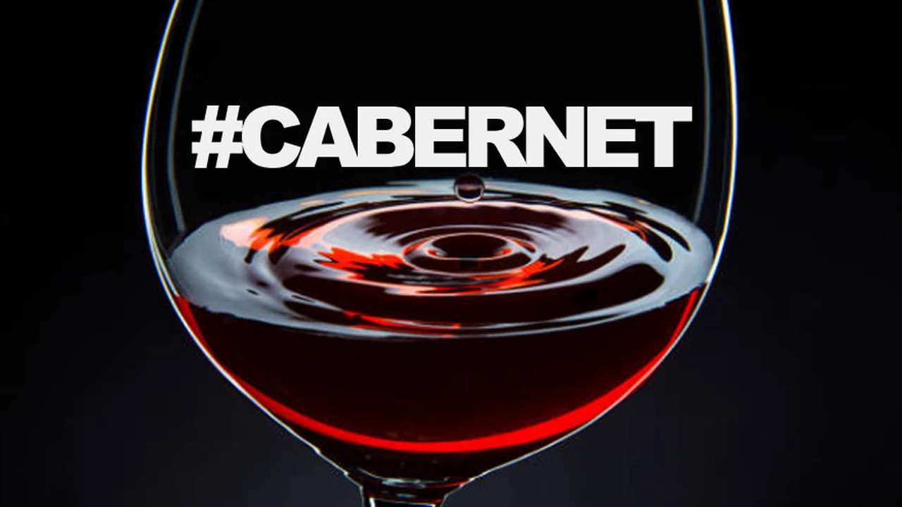 Estos fueron los 24 vinos más votados en el Cabernet Tasting 2019