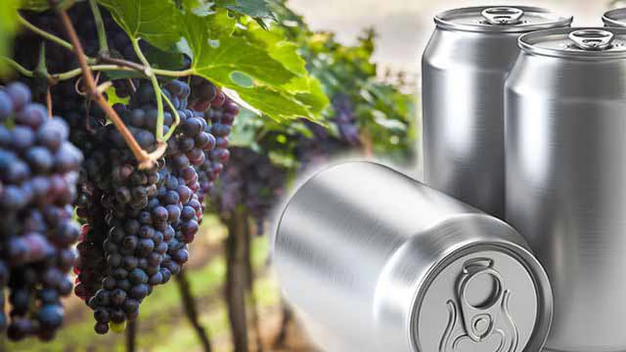 El vino en lata llega a la Argentina: tres bodegas se suman a la tendencia mundial para activar el consumo
