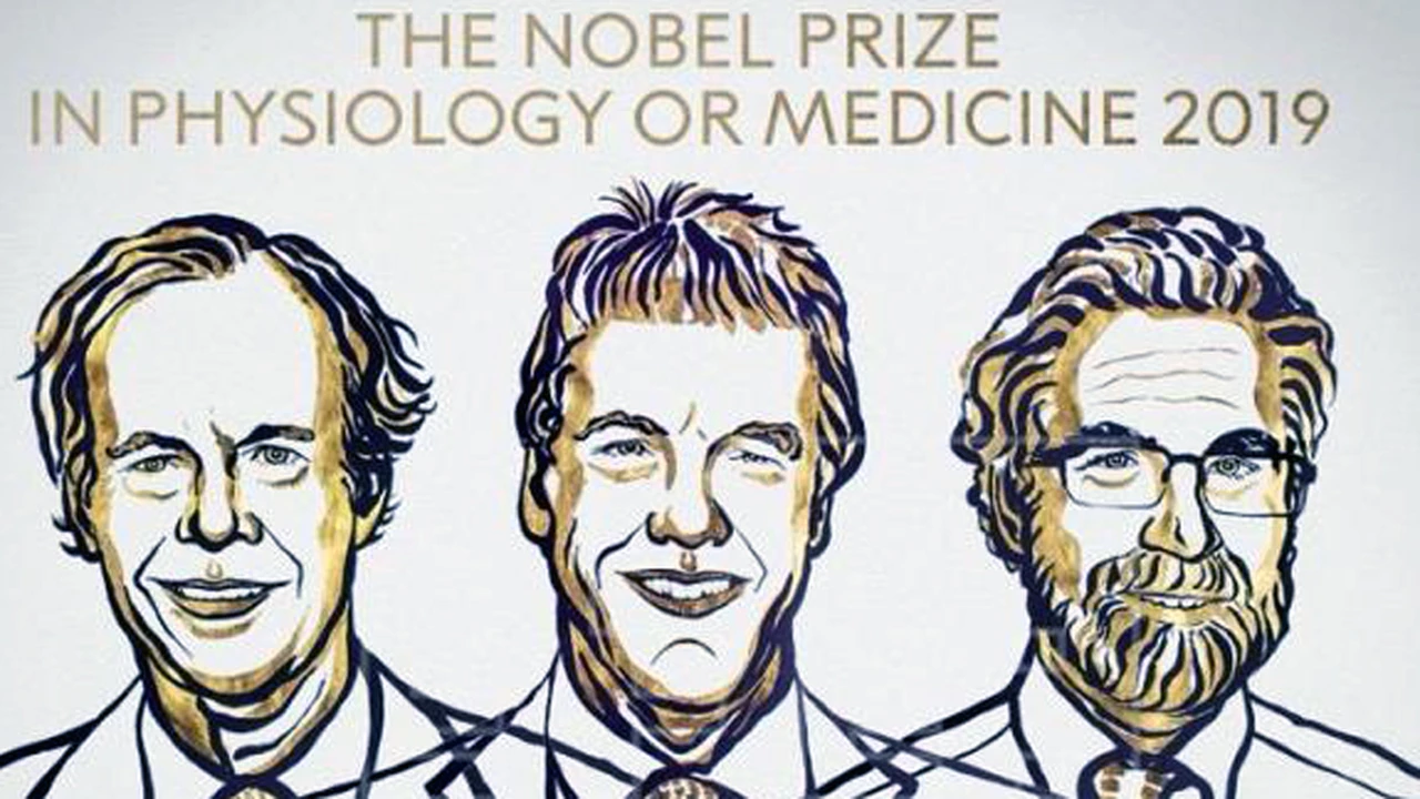 Premian con Nobel de Medicina científicos que estudian las células para combatir el cáncer: qué descubrieron