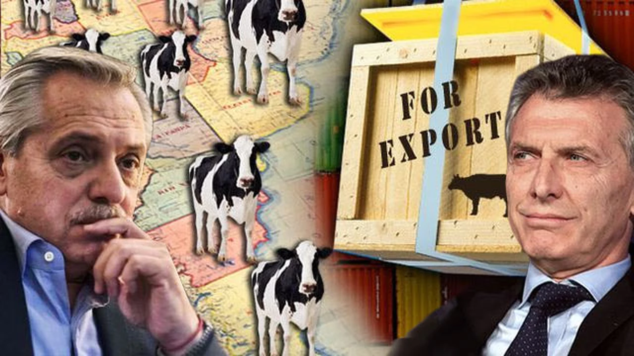 Elecciones, dólar alto y boom de China impulsan ventas de carne al mundo: cuáles son los riesgos