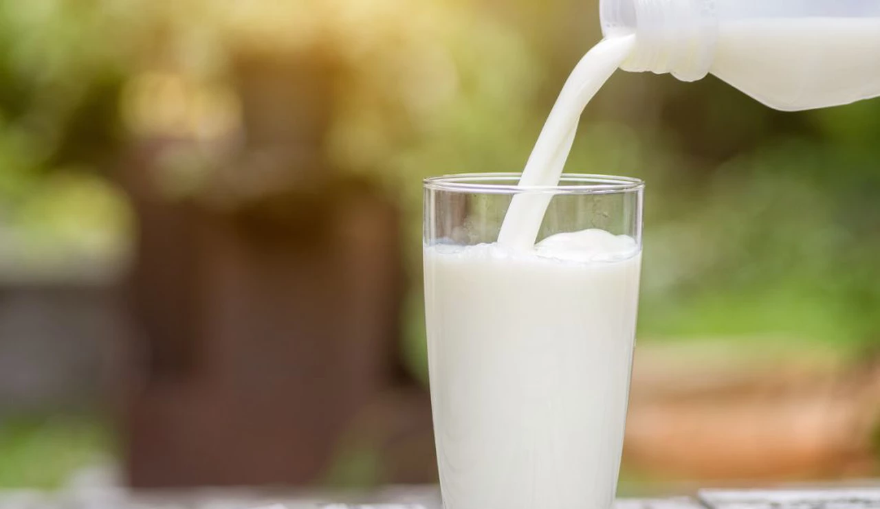 ¿Cómo saber si sos intolerante a la lactosa? Estos son los síntomas