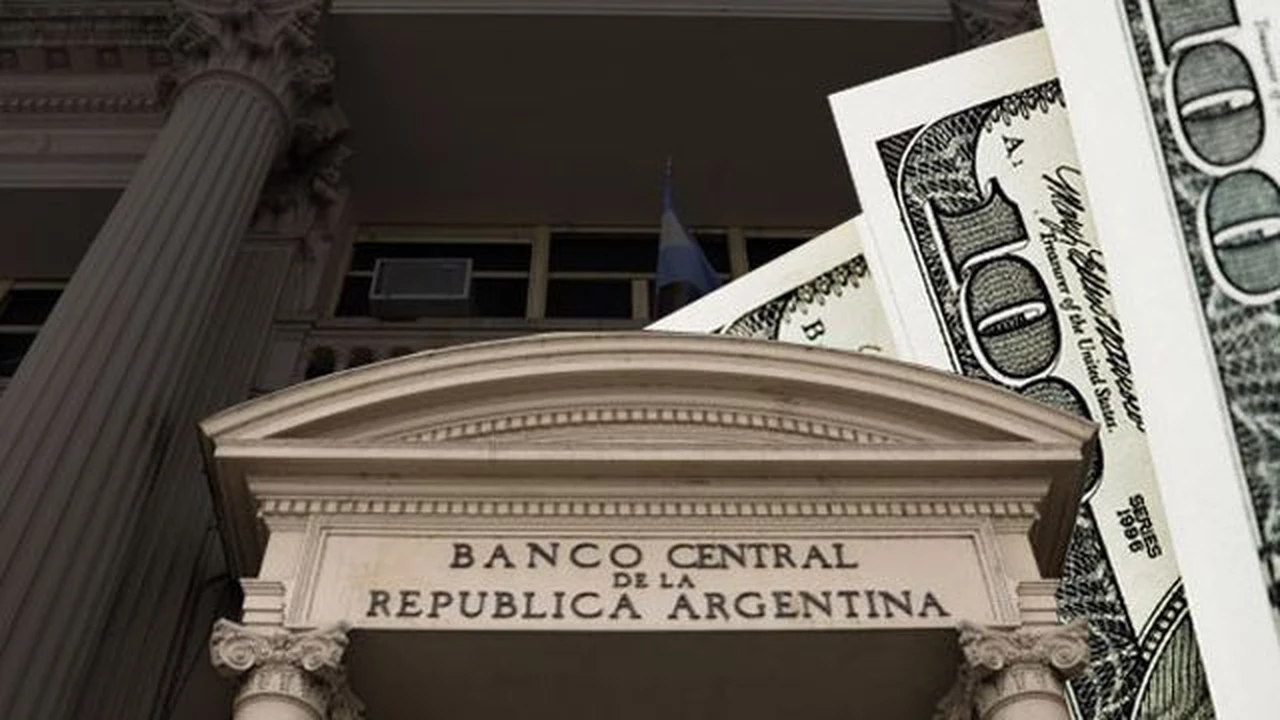 Cuánto cayeron las reservas del Banco Central desde las elecciones primarias