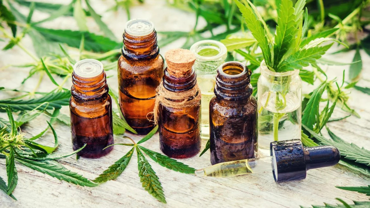 El auge del aceite de cannabis: para qué enfermedades o síntomas se usa