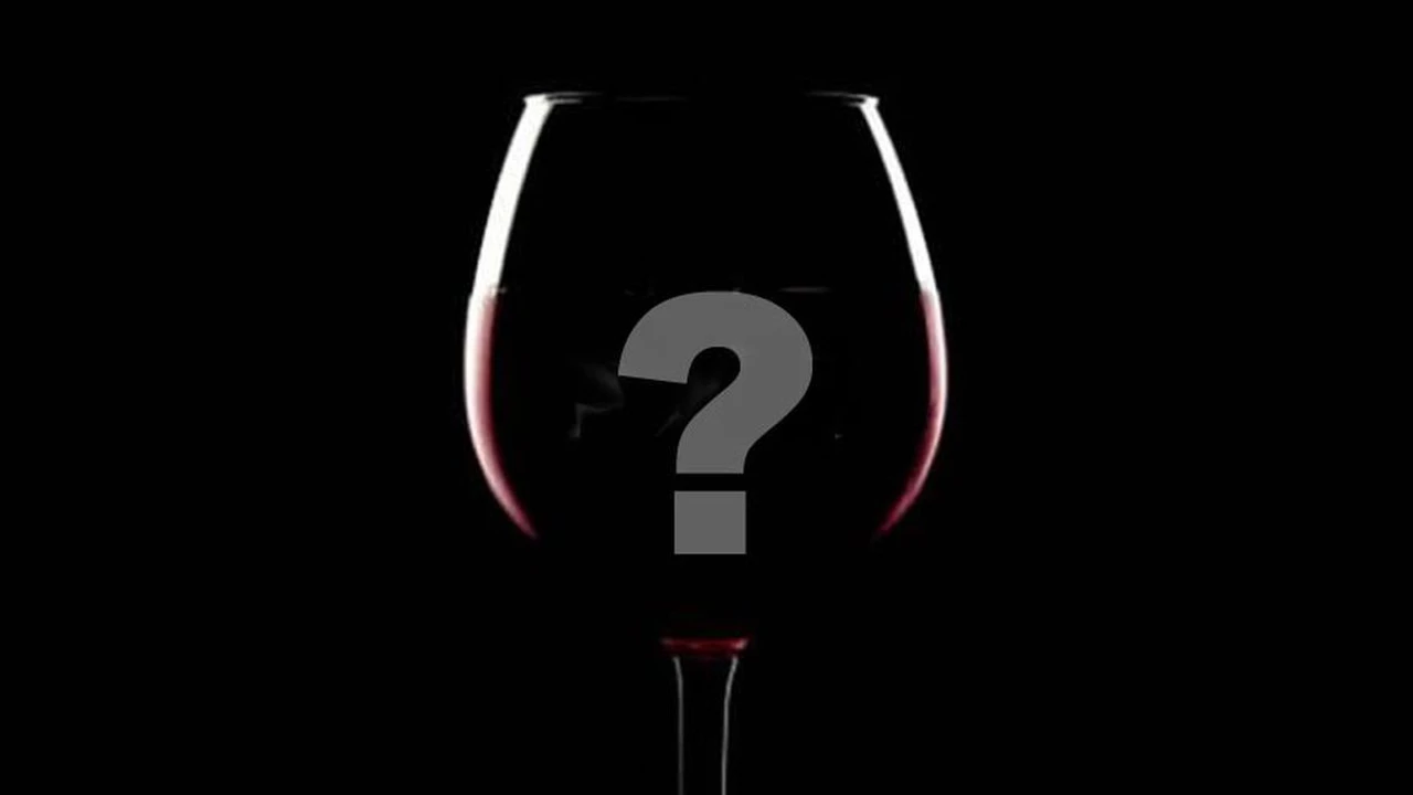 ¿Cómo saber qué vinos se pueden guardar?