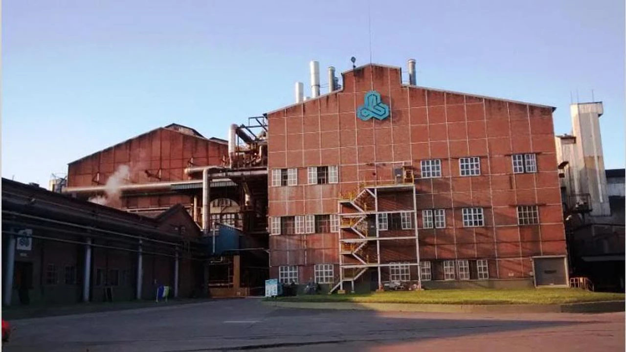 Cerraron la fábrica de papel Ledesma y la planta que producía preservativos "Camaleón"