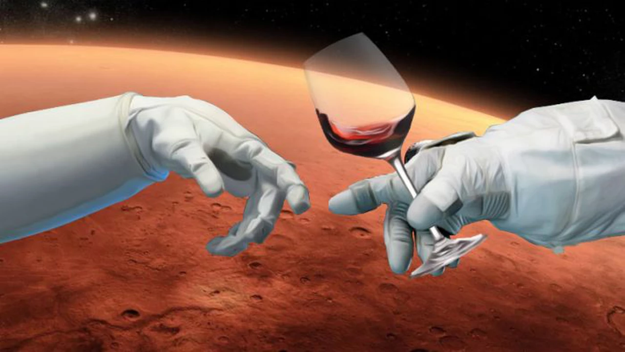 Una docena de botellas de vino tinto fue enviada al espacio "en nombre de la ciencia"