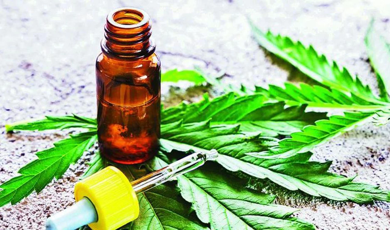 Aceite de cannabis: la ANMAT autorizó la comercialización del primero producido en Argentina