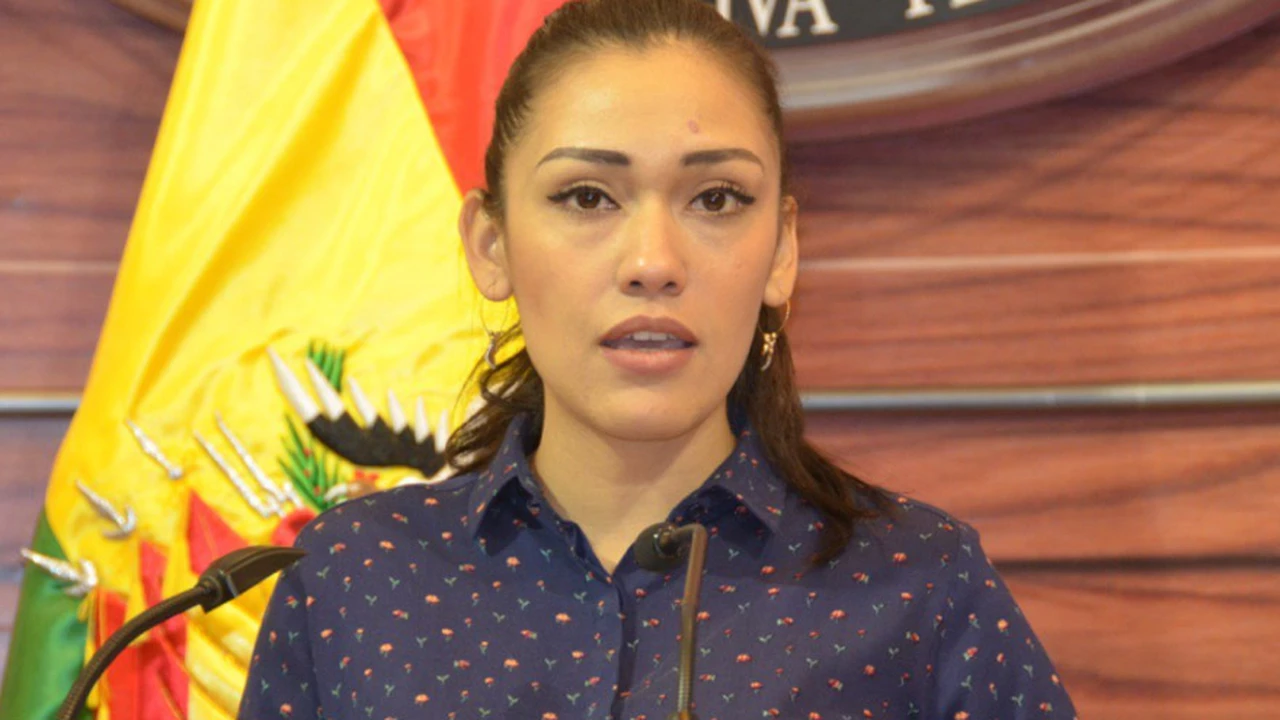 Giro inesperado en Bolivia: apareció presidenta del Senado, que antecede a Jeanine Áñez en la línea sucesoria