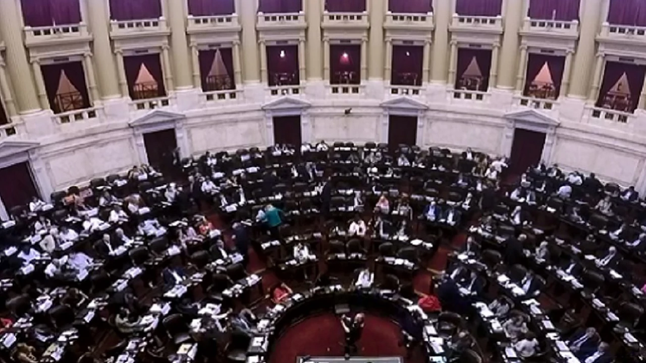 El Congreso repudió el "golpe de Estado" en Bolivia, tras largas sesiones en Diputados y el Senado