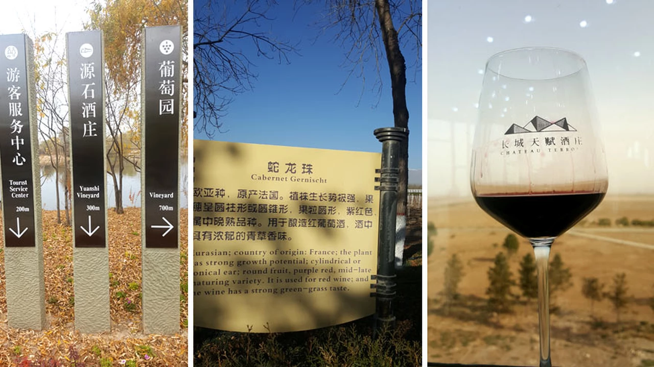 iProfesional en la China profunda: así se hacen vinos del otro lado del mundo