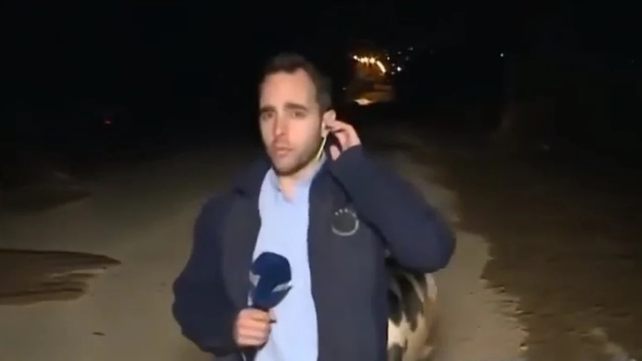 Video: Un cerdo ataca a un periodista cuando transmitía en vivo la feroz tormenta en Grecia