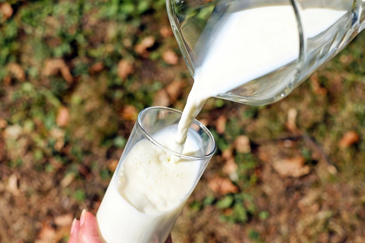 Grasa láctea: aliada en la salud