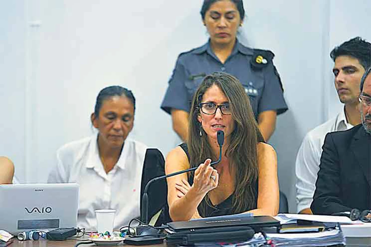 La futura ministra de la Equidad es abogada de Milagro Sala y trató a Macri de "cuasi fascista"
