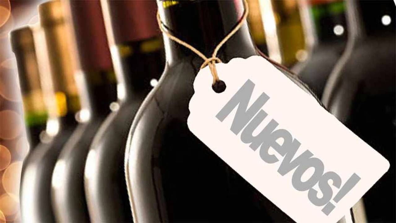 Cinco nuevos e imperdibles vinos tintos para mantenerse actualizados