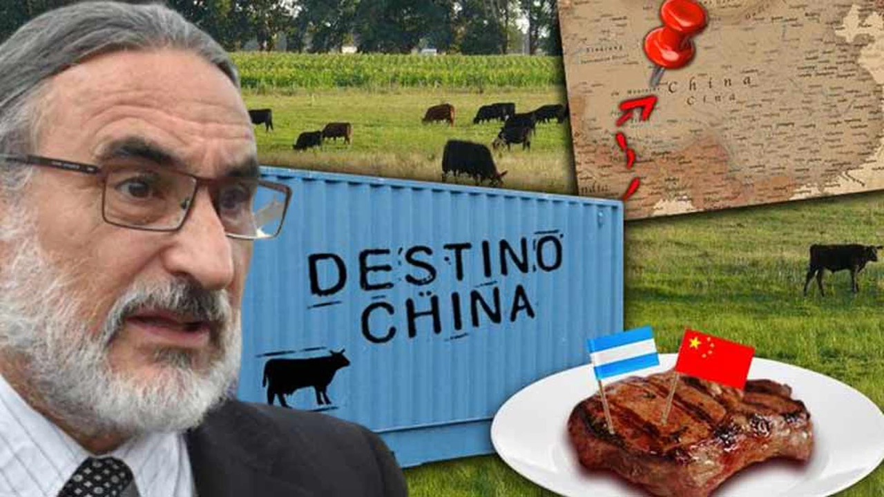 ¿Más retenciones a la carne?: temor entre empresarios por las señales del ministro Basterra