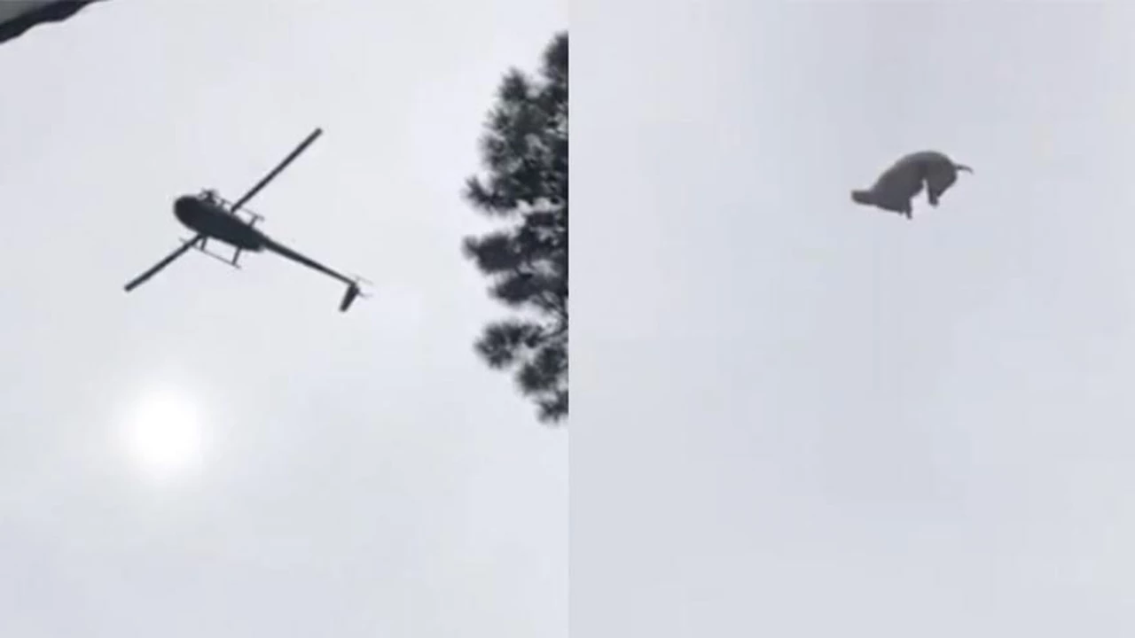 Dueño de Etiqueta Negra y sus amigos asaron a la parrilla y comieron el animal tirado desde un helicóptero