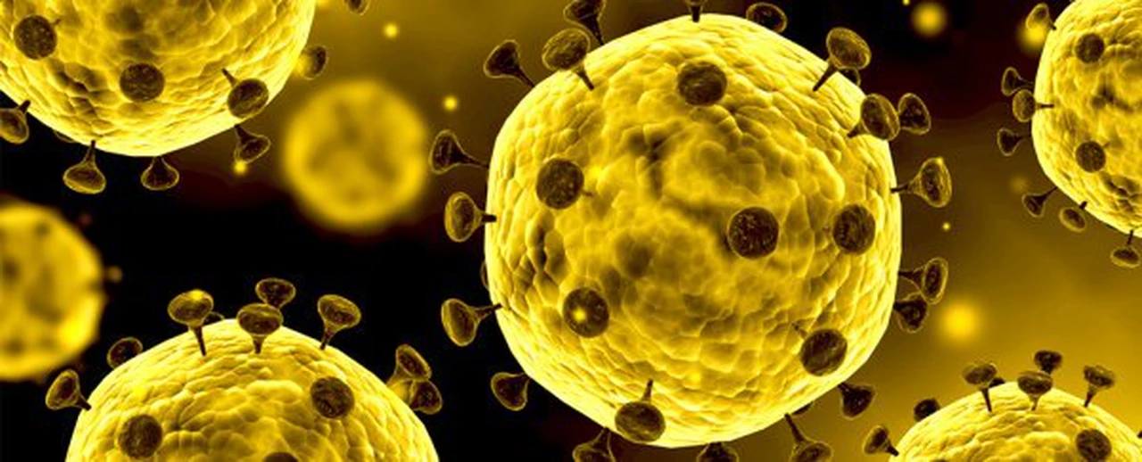 Seis muertos en China, ¿qué es el coronavirus y qué dijo la OMS al respecto?