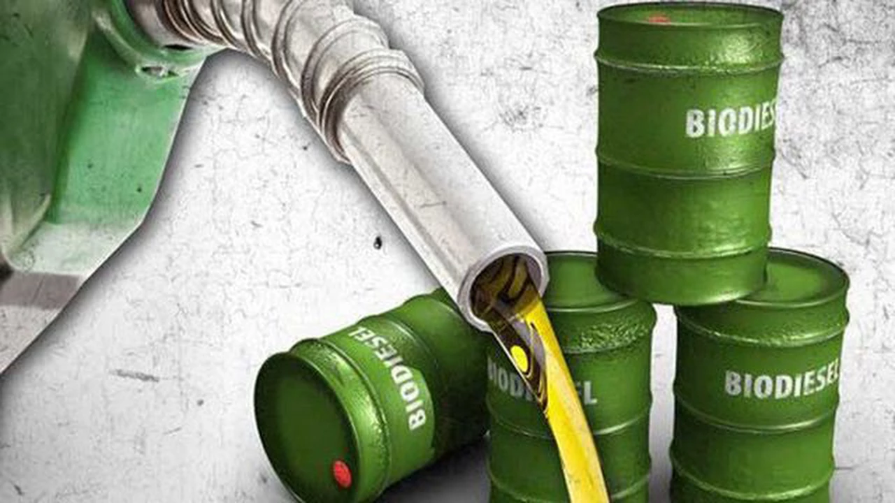 Biodiesel: quiénes son los grandes "rehenes" del congelamiento de precios que dispuso el Gobierno