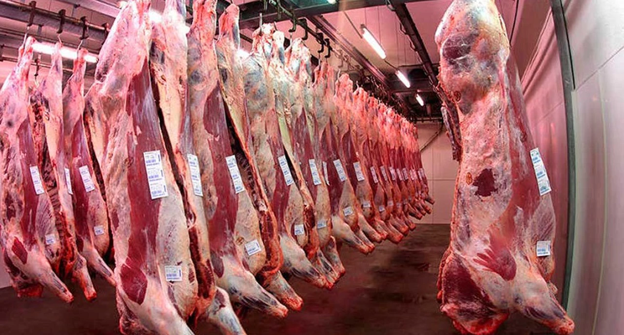 La exportación de carne logró el mayor volumen de los últimos 30 años, pero sigue deprimido el consumo interno