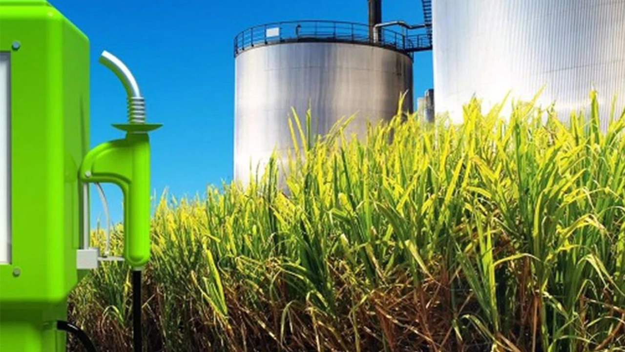 Durante el año pasado, la producción de biodiésel cayó 12% y la de bioetanol, 4%