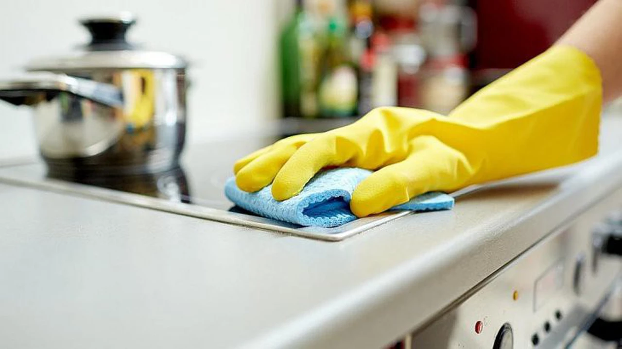 3 de abril,  día de la empleada doméstica: cuánto hay que pagarle si trabaja