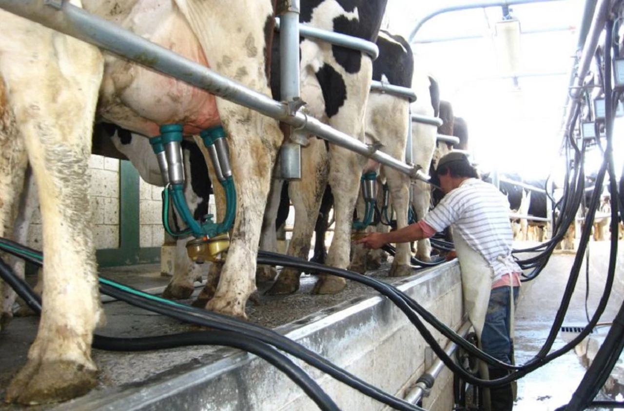 El consumo de leche sigue en caída: qué empresas se reparten hoy este golpeado mercado