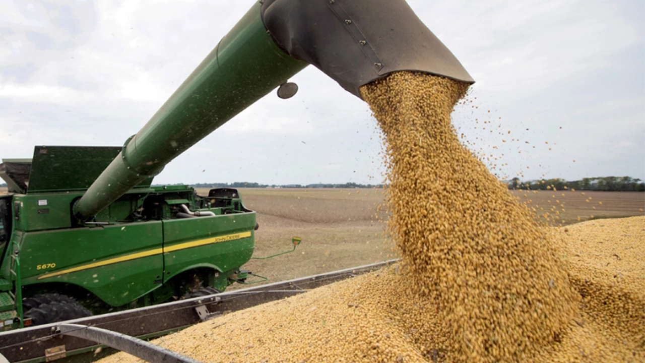 El Estado se queda casi con el 70% de lo que produce una hectárea de soja