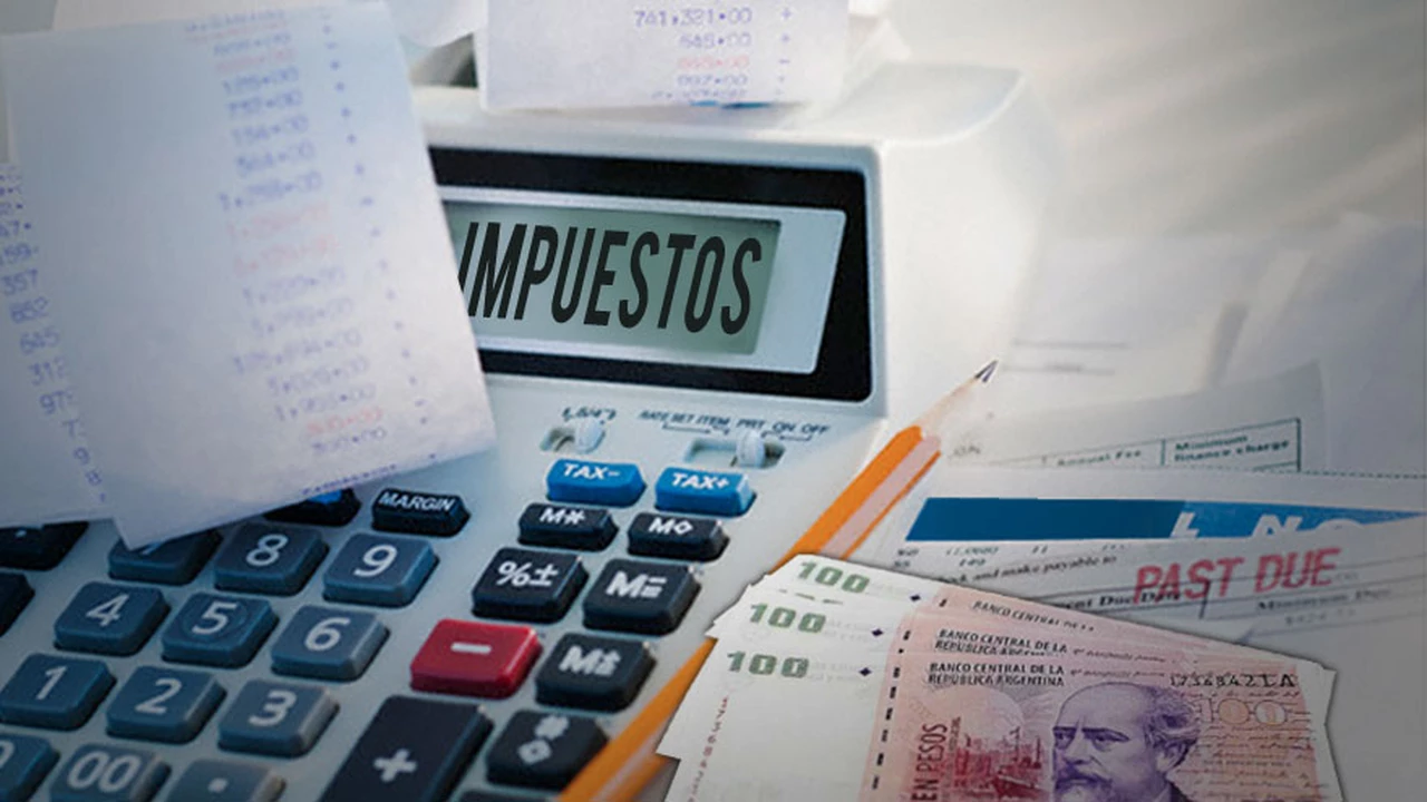 Nadin Argañaraz: "Los tres niveles de gobierno deberían posponer los impuestos que vencen en abril"