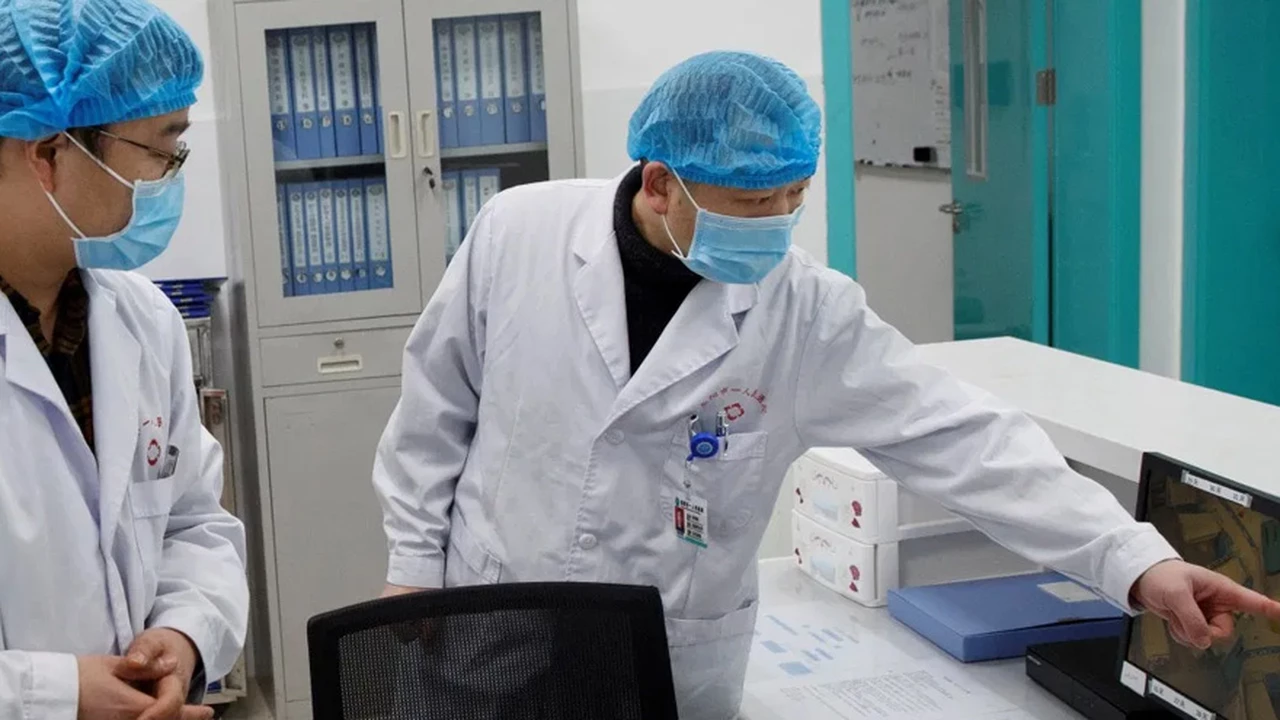 Coronavirus: EE.UU. alertó en 2018 sobre los experimentos chinos con murciélagos