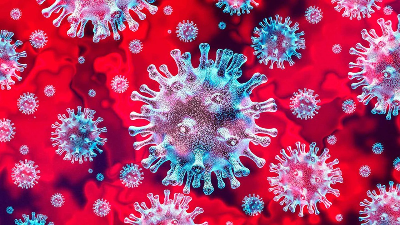 Coronavirus: "Un enemigo increíblemente astuto": por qué se propagar tan rápido entre humanos