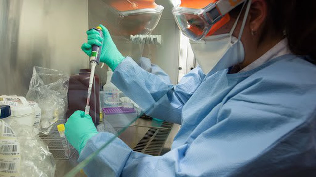 Decisión oficial: el Gobierno crea un fondo para financiar la producción de kits de diagnóstico del coronavirus