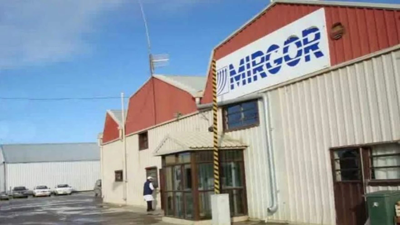 ¿Argentina exportará productos electrónicos desde Tierra del Fuego?: esto anticipa José Luis Alonso, CEO de Mirgor
