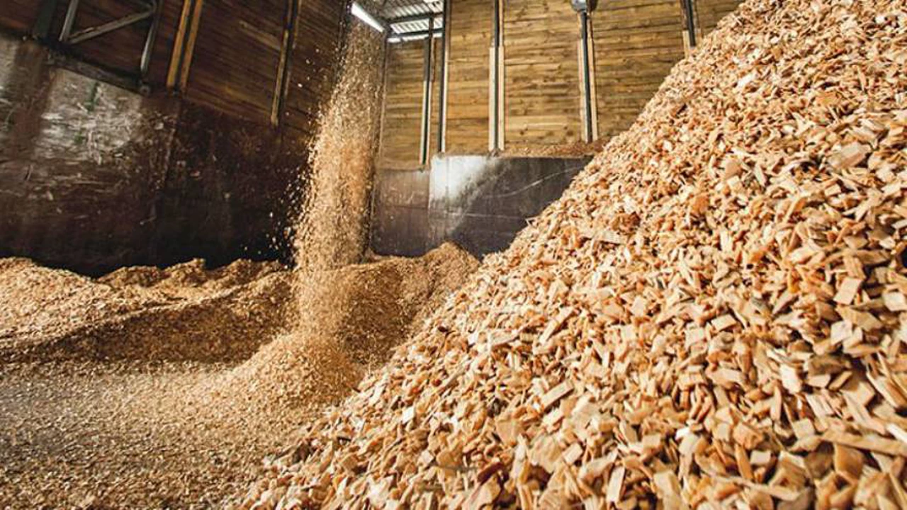 Qué es la biomasa: la energía renovable más barata y con menos emisiones