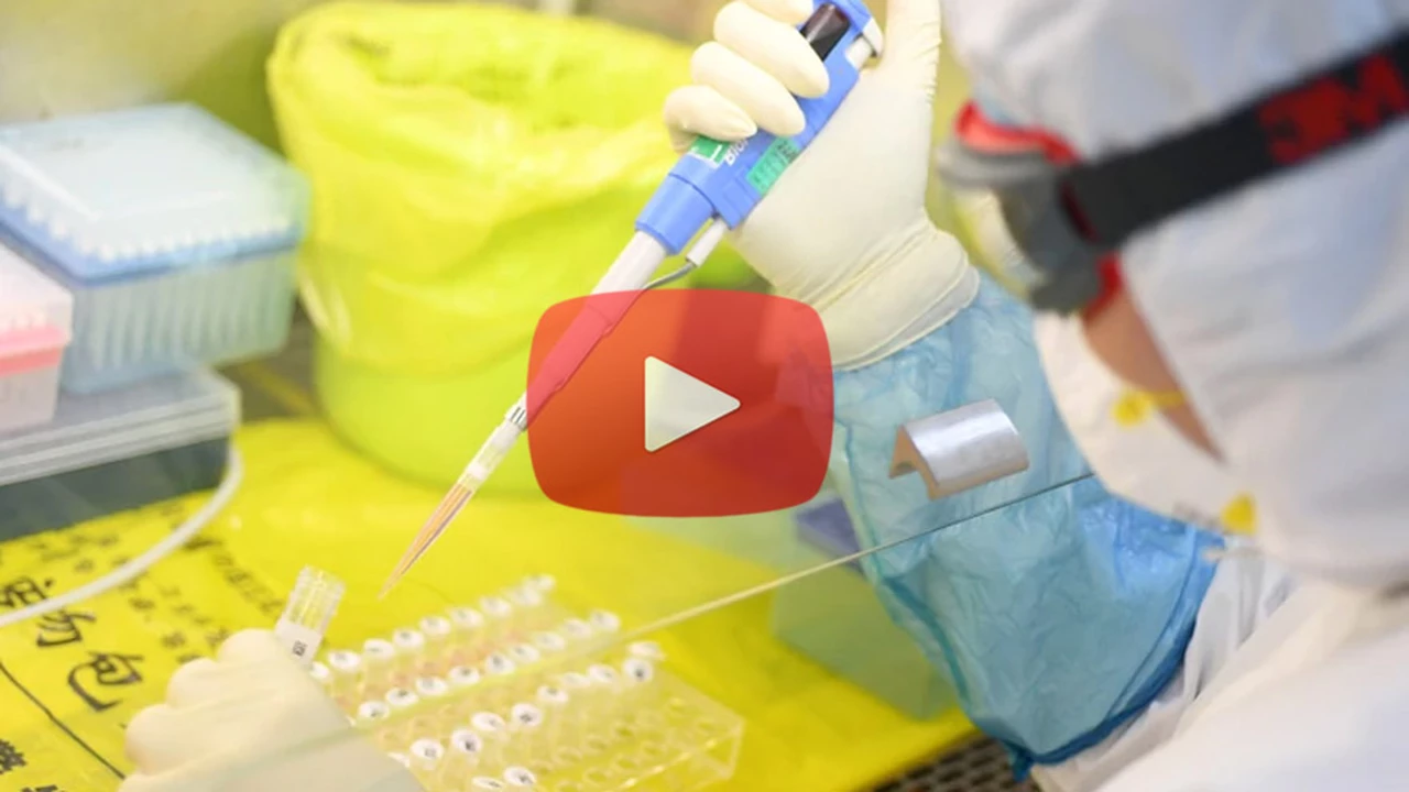Coronavirus: documental asegura que China creó el virus en un laboratorio