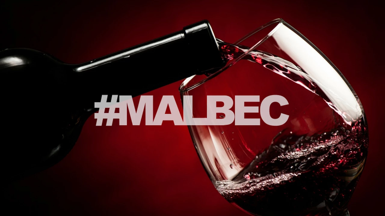 La impactante cifra de botellas de vino Malbec de Argentina que se venden por minuto en el exterior