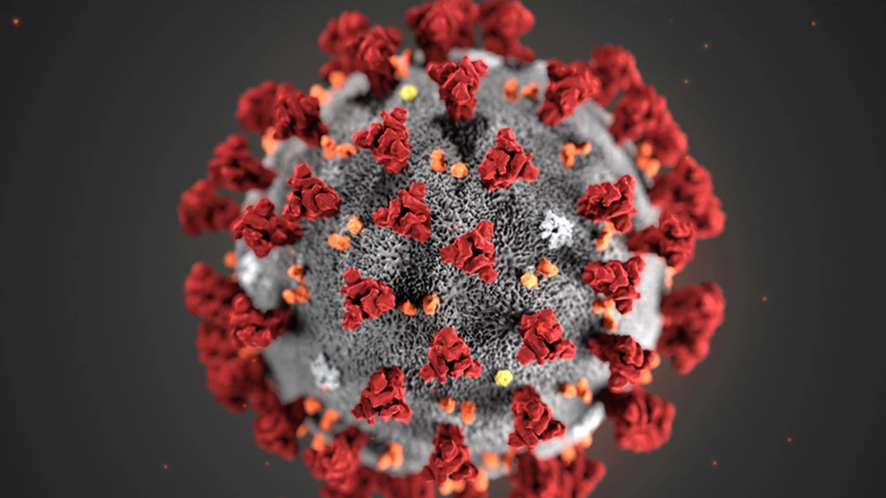 "No nos permiten defendernos suficientemente bien contra el coronavirus", advierte experto