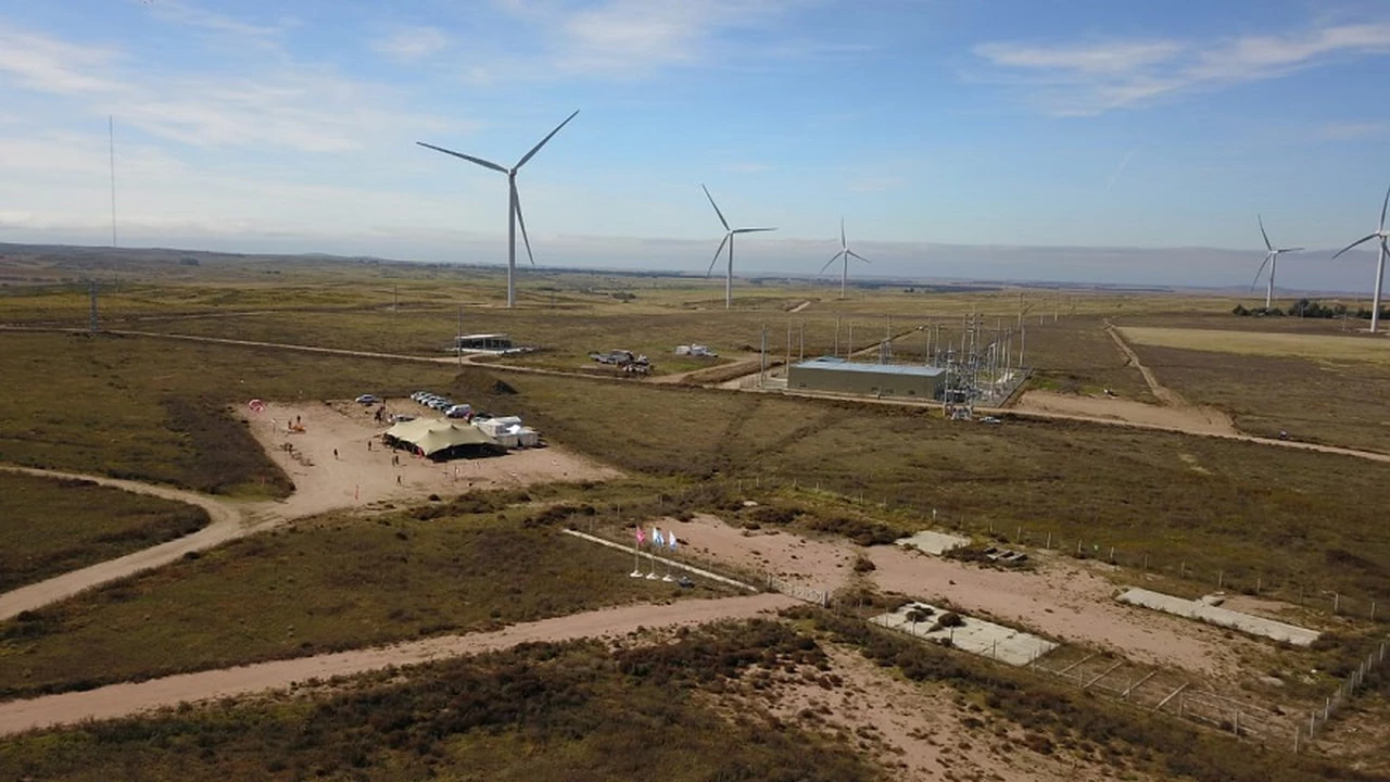 Busca nuevas oportunidades: Siemens revela su plan para competir en un nuevo "negocio verde" en la Argentina