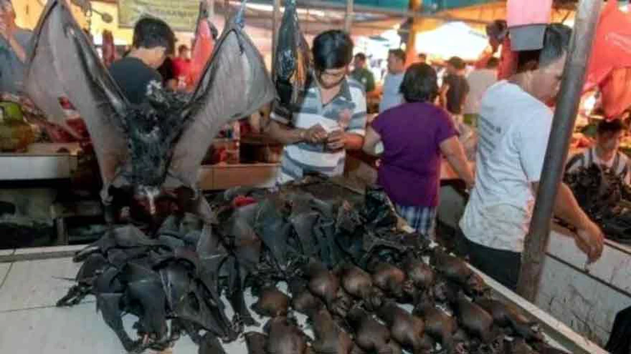A pesar del coronavirus, un mercado de animales de Indonesia sigue con la venta de murciélagos