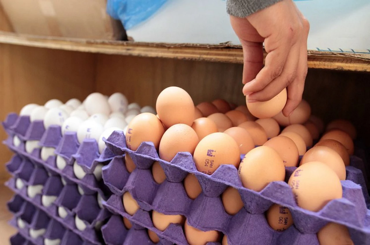 El precio de los huevos sigue sin freno: ¿sabías que hay una mafia que influye en el valor?