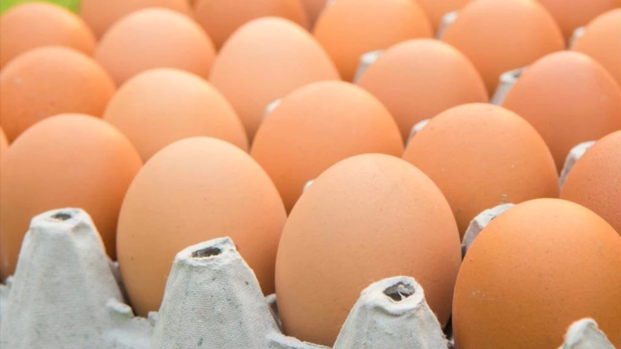 Por qué el precio del huevo no para de aumentar