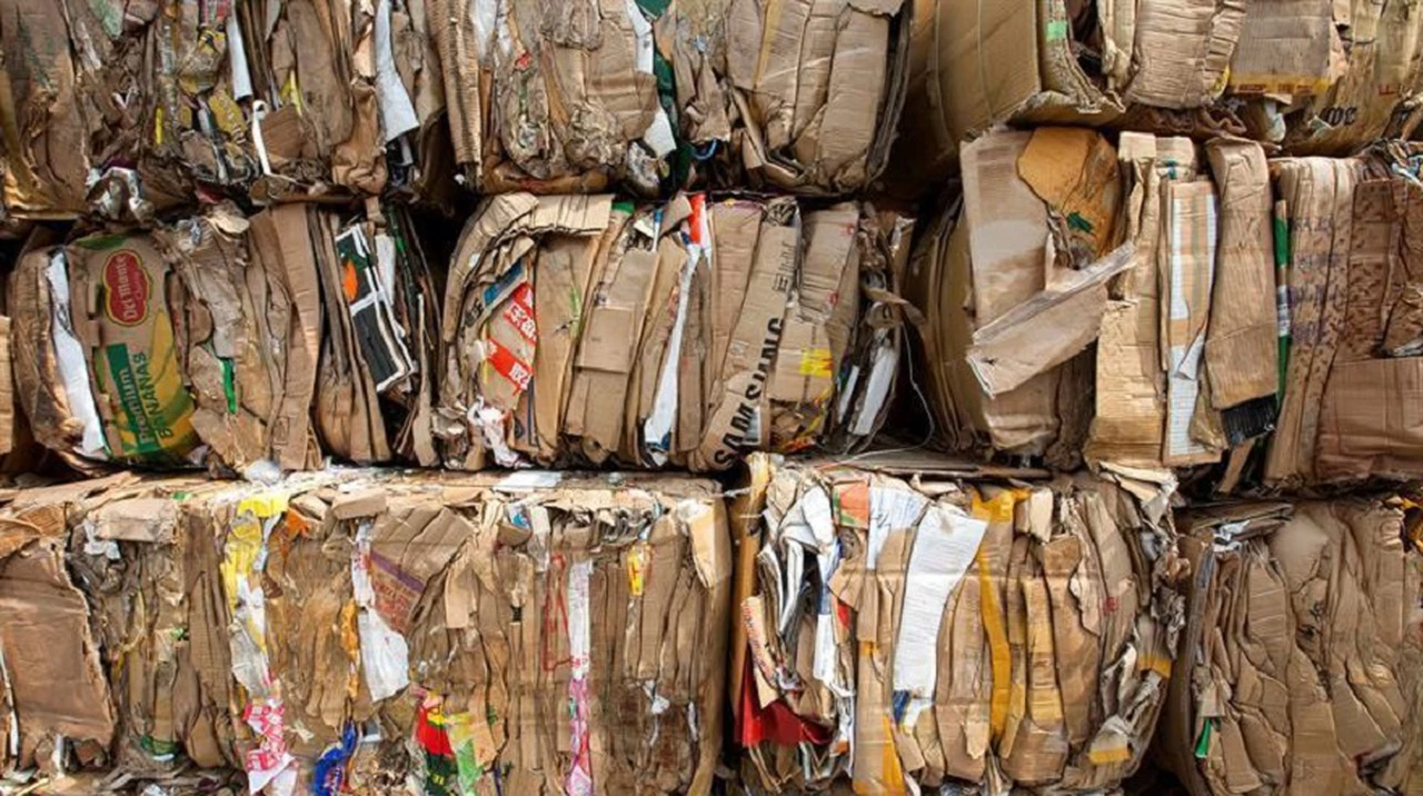 Impacta en el bolsillo: empresas revelan qué pasó con el reciclaje durante la pandemia