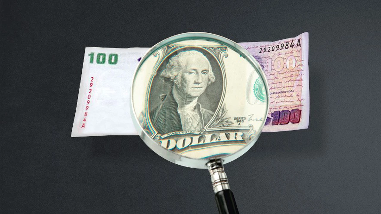 El ahorro en dólares de Guzmán, un símbolo del eterno fracaso de las "cruzadas pesificadoras"